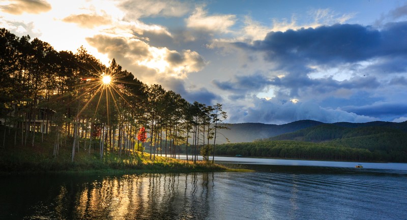 Xe du lịch Đà Lạt 18 Top 10 rừng thông Đà Lạt với vẻ đẹp lay động trái tim người lữ khách