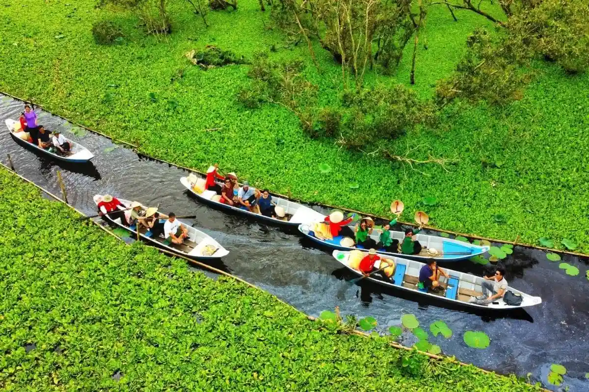 Rừng tràm Trà Sư: Giá vé và lịch trình chi tiết 2025