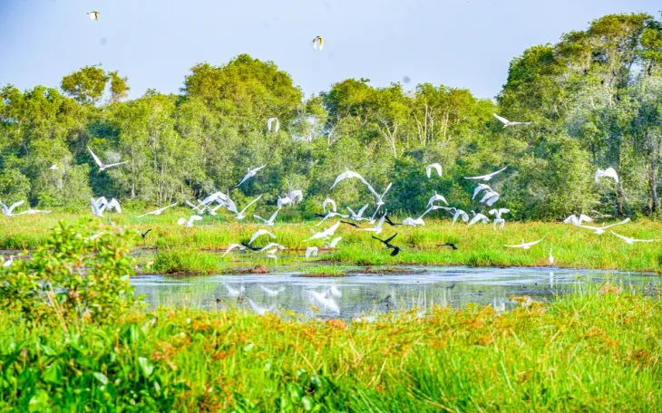 T 4 07679501456298032027380 26022541368405744095381