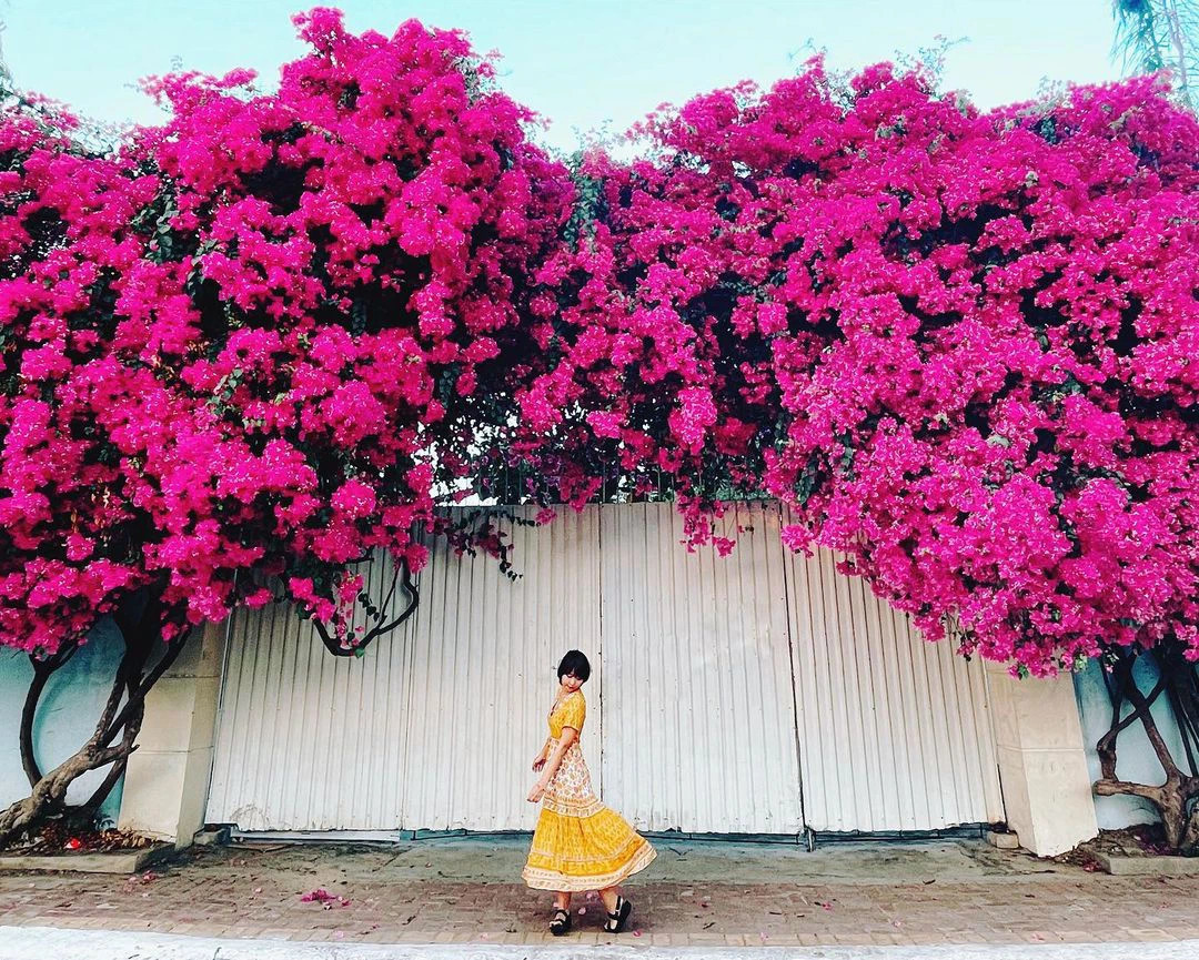 Người đứng trên mỏm đá ngắm biển xanh bao la và bầu trời trong tại Mũi Nghinh Phong, Vũng Tàu, Việt Nam.