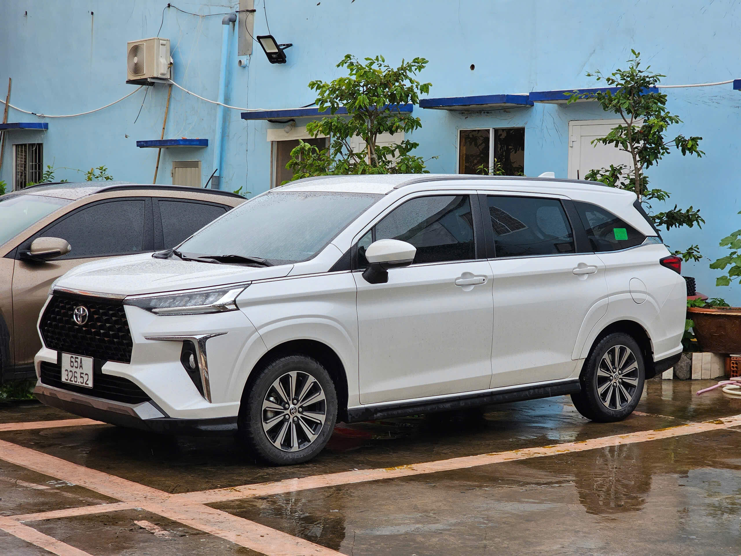 Top 5 Dòng Xe 7 Chỗ Thuê Nhiều Nhất Tại Phúc Hưng